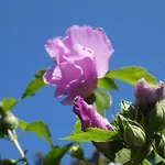 Verblijf Bij Heidi \